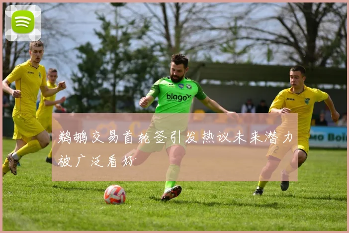 鹈鹕交易首轮签引发热议未来潜力被广泛看好