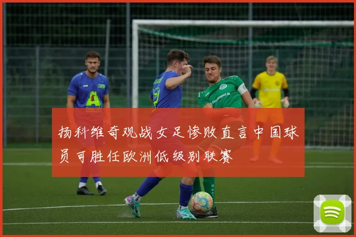 扬科维奇观战女足惨败直言中国球员可胜任欧洲低级别联赛
